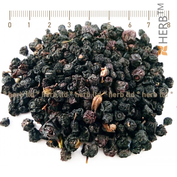 bilberry fruit, Vacdnium myrtillus, bilberry benefits