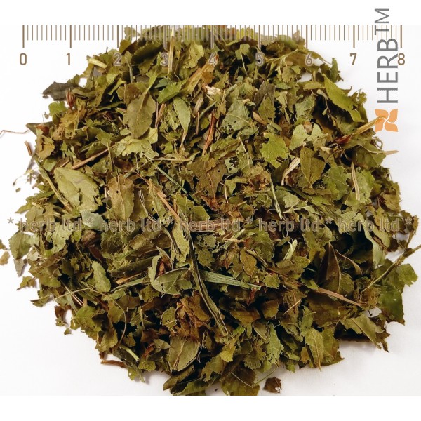 bilberry tea, herbs, bilberry antioxidant, bilberry price