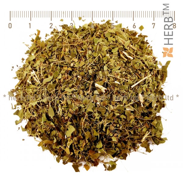 ivy herb, ivy price, ivy leaf medicinal properties, ivy reviews