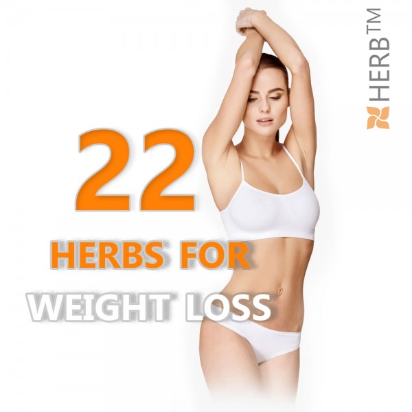 22 herbs for weight loss, herbal tea for weight loss, herbs for weight loss, weight loss with herbs, herbal mixture, detox herbs, herbs for weight loss price
