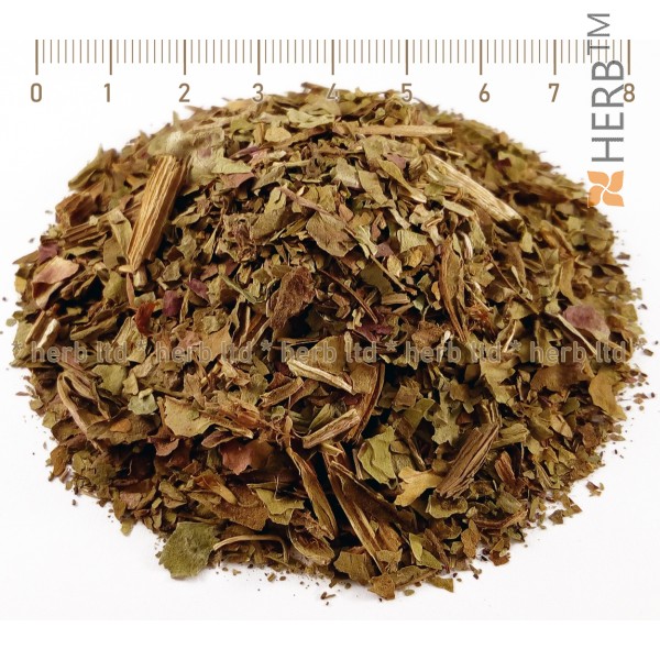 broadleaf plantain, plantain leaf, plantago major, plantain tea for eczema, sore throat