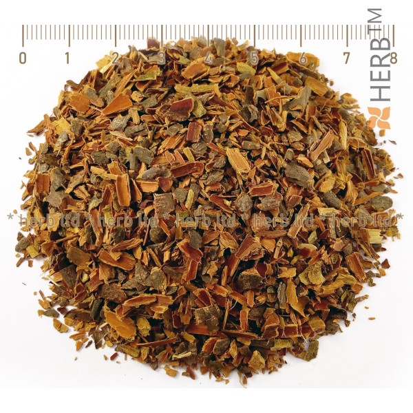 buckthorn herb, buckthorn bark, rhamnus frangula l. , an herb for loosening