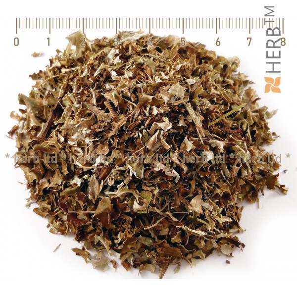 Iceland Lichen Herb, Iceland Lichen Benefits, Iceland Lichen Price, Chest Lichen
