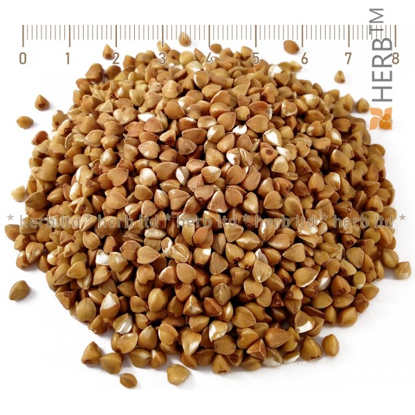 buckwheat, buckwheat, Fagopyrum esculentum, buckwheat weight loss, buckwheat seeds