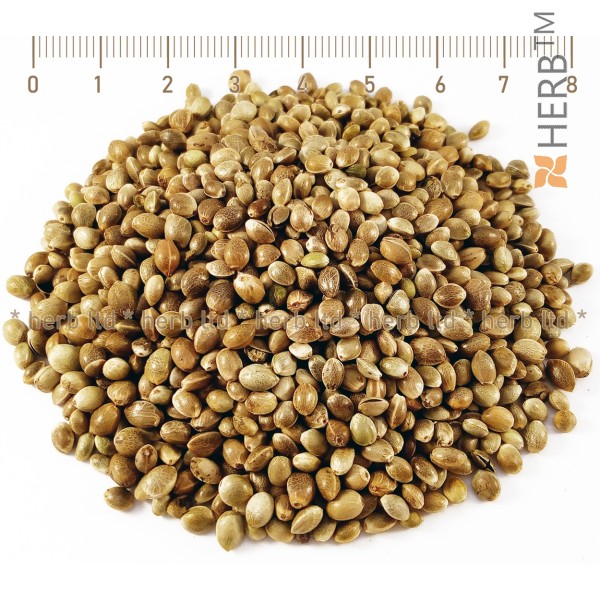 hemp herb, hemp seed price, hemp seed bulk, hemp tea