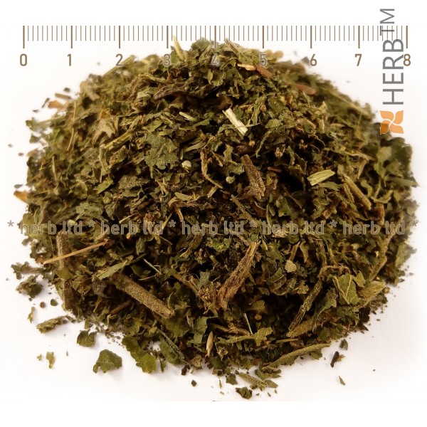nettle leaf herb, nettle hair growth, nettle leaf tea, nettle leaf price
