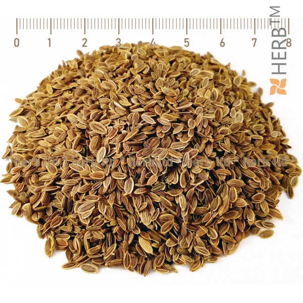 fennel seed, anethum graveolens, fennel seed treatment, fennel seed benefits