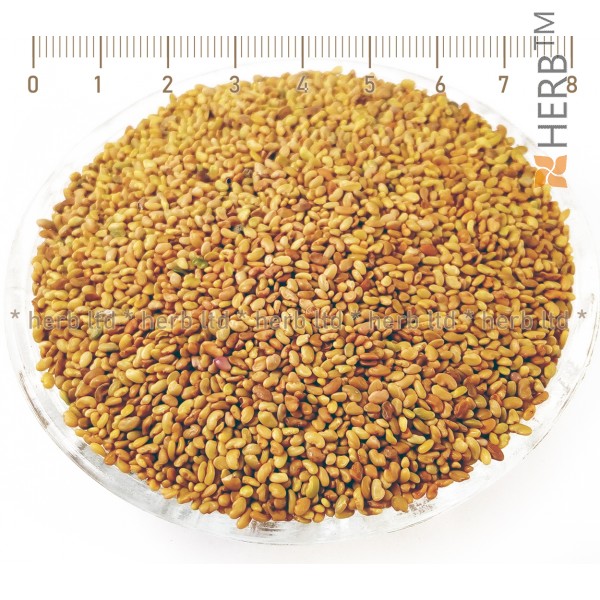 alfalfa seeds for germination, alfalfa seeds, alfalfa