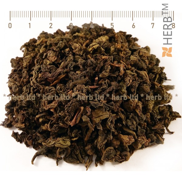 oolong tea, oolong dark tea, oolong sechong tea, camellia sinensis, oolong price