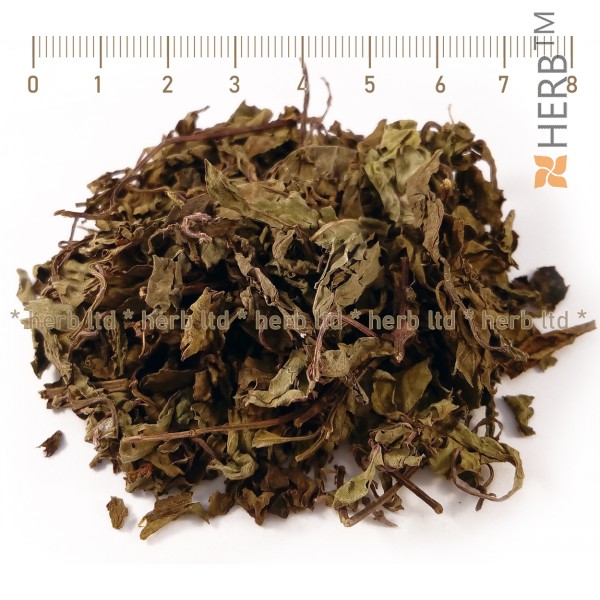 orthosyphon herb, kidney tea, java tea, Orthosiphon stamineus, Lamiaceae