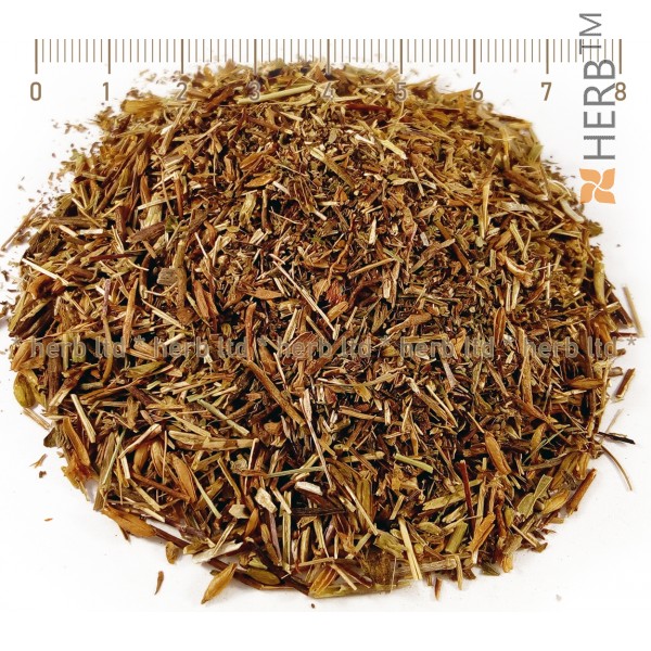 ochanka, stalk, euphrasia officinalis., ochanka for eyesight, ochanka tea, ochanka, herb price