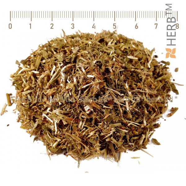 patchouli herb, Poligonum avicular, patchouli stalk