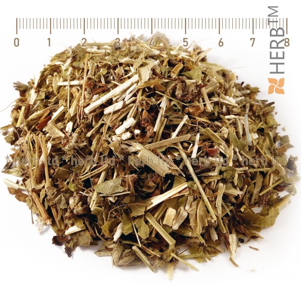 ranilist herb, ranilist price, ranilist treatment, haidushka herb