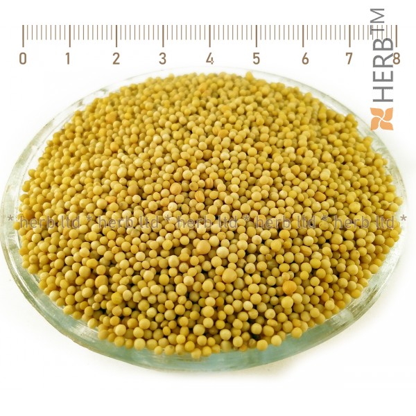 mustard white seed, sinapis alba, mustard seed application