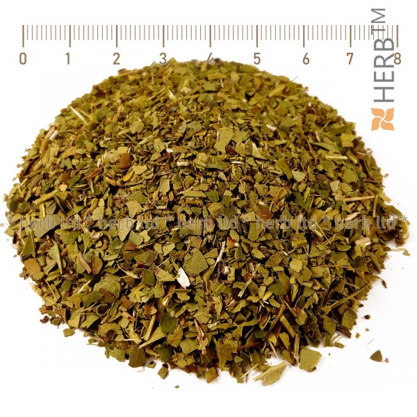 mate tea, original, south america, mate tea green, ilex paraguariensis