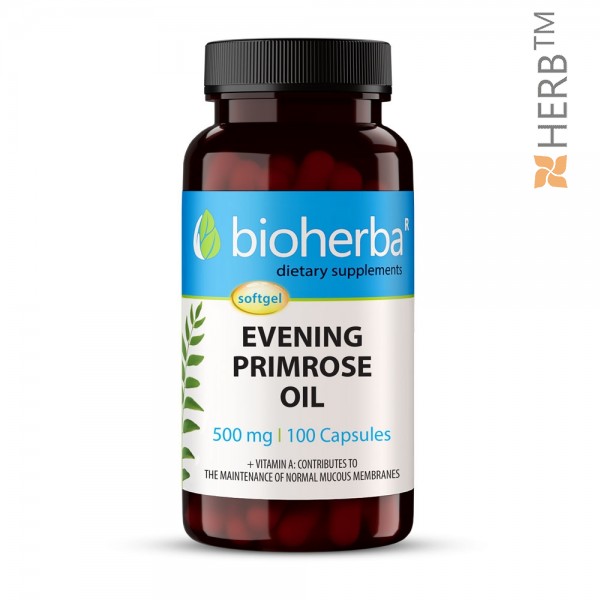 evening primrose, oil, вечерна иглика масло, вечерна иглика