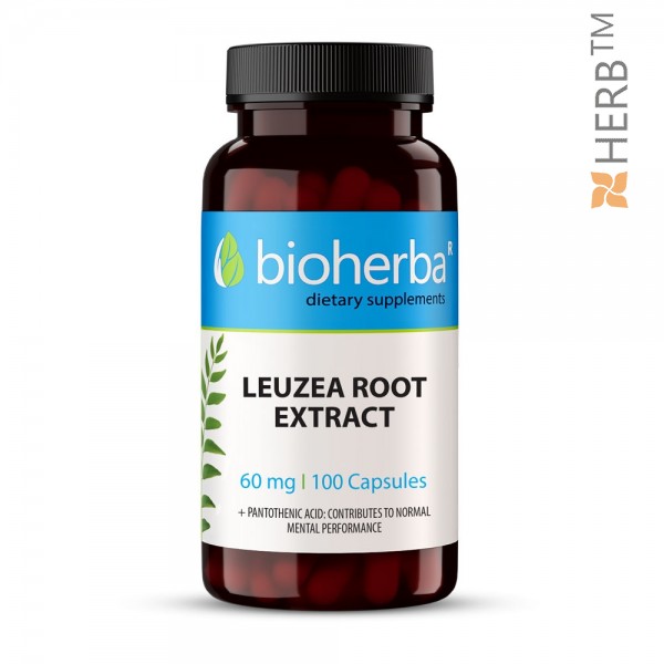 Leuzea, Maral root, 60 mg Extract, 100 capsules