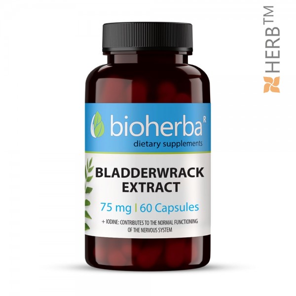 Bladderwrack extrakt, 60 capsules, for weight loss