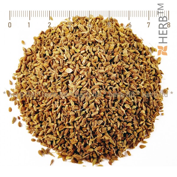 anise seed, anise spice, Pimpinella anisum, anise for colic