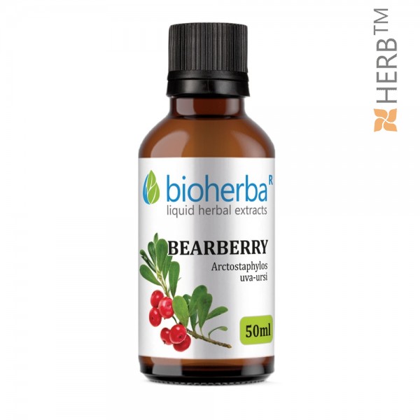 bearberry, tincture, cystitis