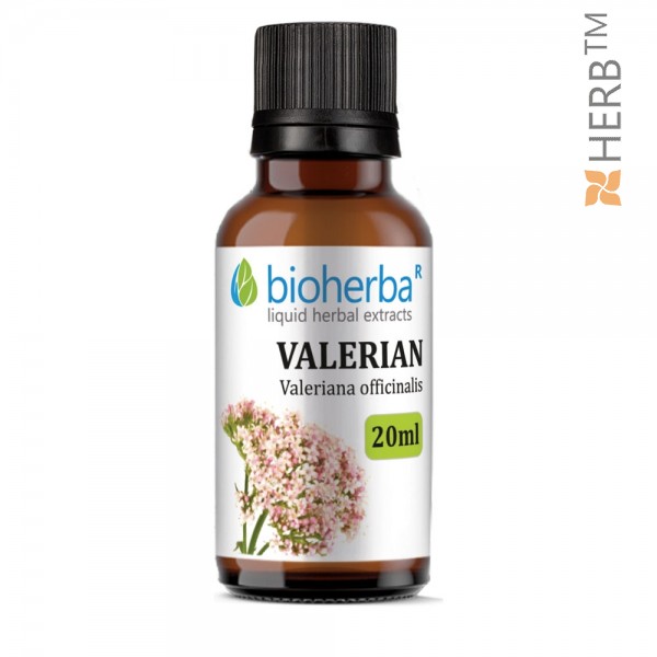 Valerian, tincture, Valeriana officinalis, herbal extract, nervous system, neurosis, stress, palpitations, insomnia, hysteria
