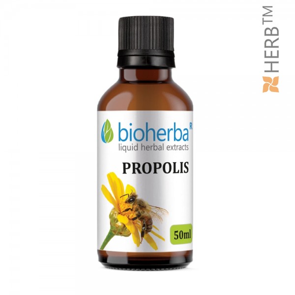 Propolis, tincture, propolis, herbal extract, propolis extract, immunity, immune system, viruses, bacteria, infections