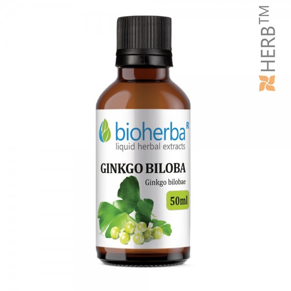 Ginkgo Biloba, tincture, Ginkgo bilobae, herbal extract, brain, dew, memory, varicose veins, hemorrhoids