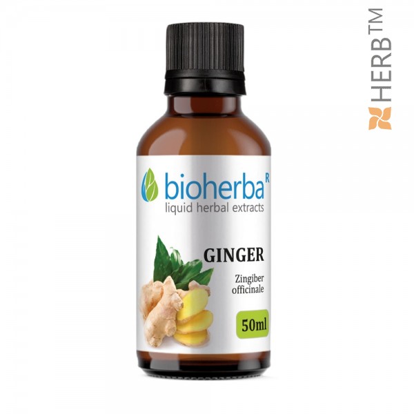 Ginger, tincture, herbal extract, immunity, digestion, energy
