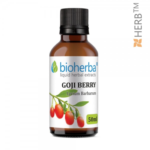Goji berry, tincture, Lycium, herbal extract, antioxidant, immunity, health, eyes