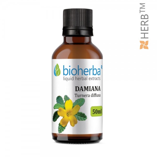 Damiana, tincture, Turnera diffusa, herbal extract, men, women, reproductive system, libido, potency, nervous system
