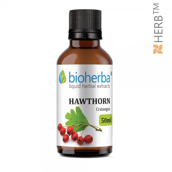 Hawthorn, tincture, Crataegus, herbal extract, heart rate, pulse, sedation