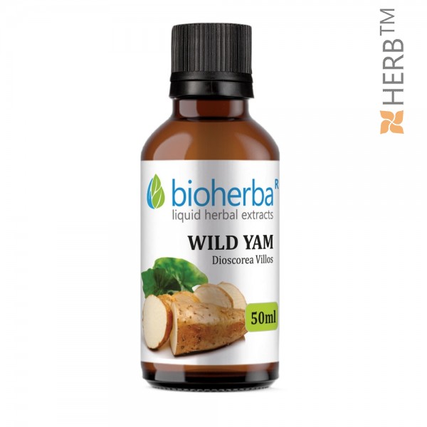 Ingredients: 1ml contains 1ml tincture 1:5 equivalent to 250mg of Wild Yam (Dioscorea Villos). Recommended Use: As a dietary supplement take 30 drops three times daily dissolved in 150ml of water (30 drops = 1.2ml). Action: Beneficial for relieving the mo