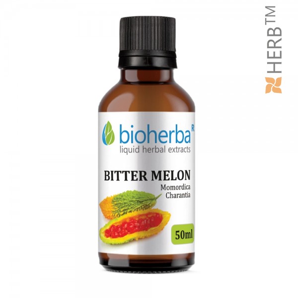 Bitter melon, tincture, momordica, herbal extract, Momordica Charantia, digestion, diabetes, diet, cholesterol, weight loss, blood sugar