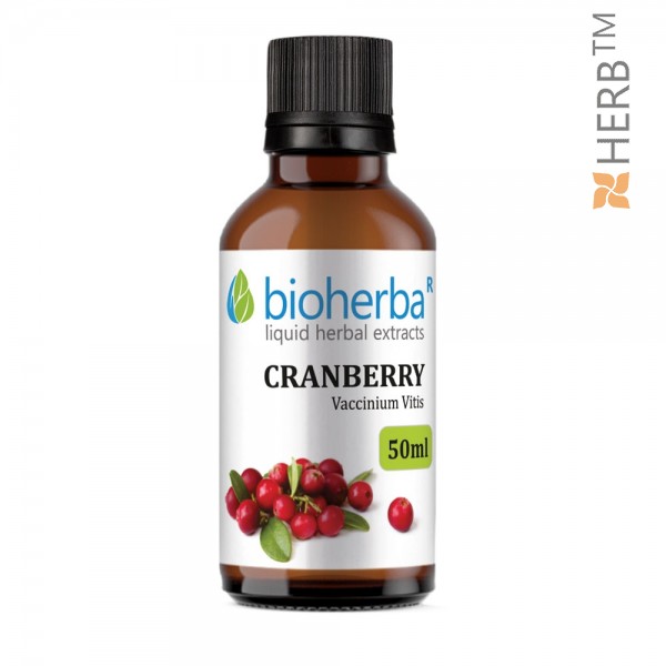 cranberry, tincture, Vaccinium Vitis, herbal extract, genitourinary system, cystitis,