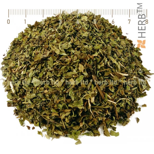 mint herb, Mentha piperita, mint tea, mint crushed