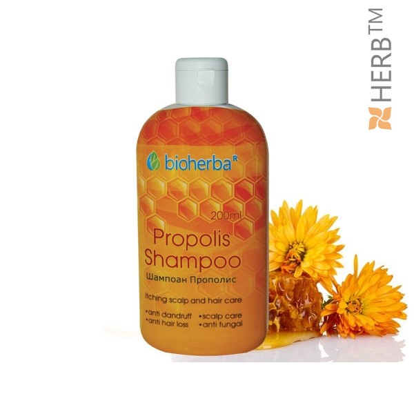 shampoo, propolis shampoo 