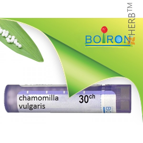 chamomilla vulgaris, boiron