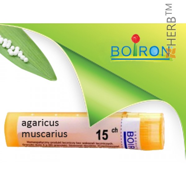 agaricus muscarius, boiron
