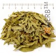 senna leaf herb, mother leaf application, senna herbal tea, herbs for pregnant