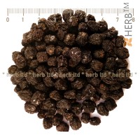 ARONIA BERRY, ORGANIC, BLACK CHOKEBERRY, Aronia melanocarpa Elliot, berries, HERB TM