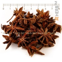 Star Anise, Illicium verum, seed, HERB TM