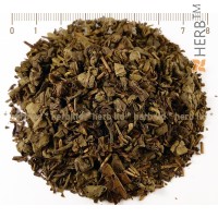 Green tea gun powder, Camelia Sinensis, leaf, Herbal Tea Blend, HERB TM