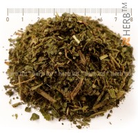 Nettle leaf, Urtica dioica, leaf, HERB TM