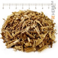 Chicory Root, Cichorium intybus, HERB TM