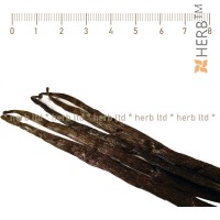  Vanilla, Vanilla Plantifolia, pod, HERB TM