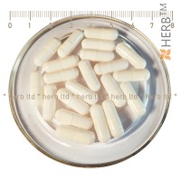 Empty gelaine capsules for home filling in bulk, different packages, - Size 00 to 1000 mg