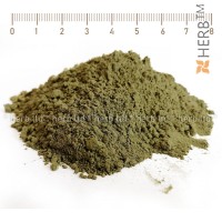 Коча билка стрък на прах, Nepeta cataria