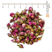 Rose bud fragrant, Rose buds, Rosa meidomonac, Herb TM