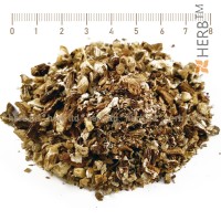 Dandelion Root, Taraxacum officinale L., root, HERB TM