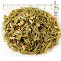 Lemon Grass, Cymbopogon flexuosus, stem, HERB TM